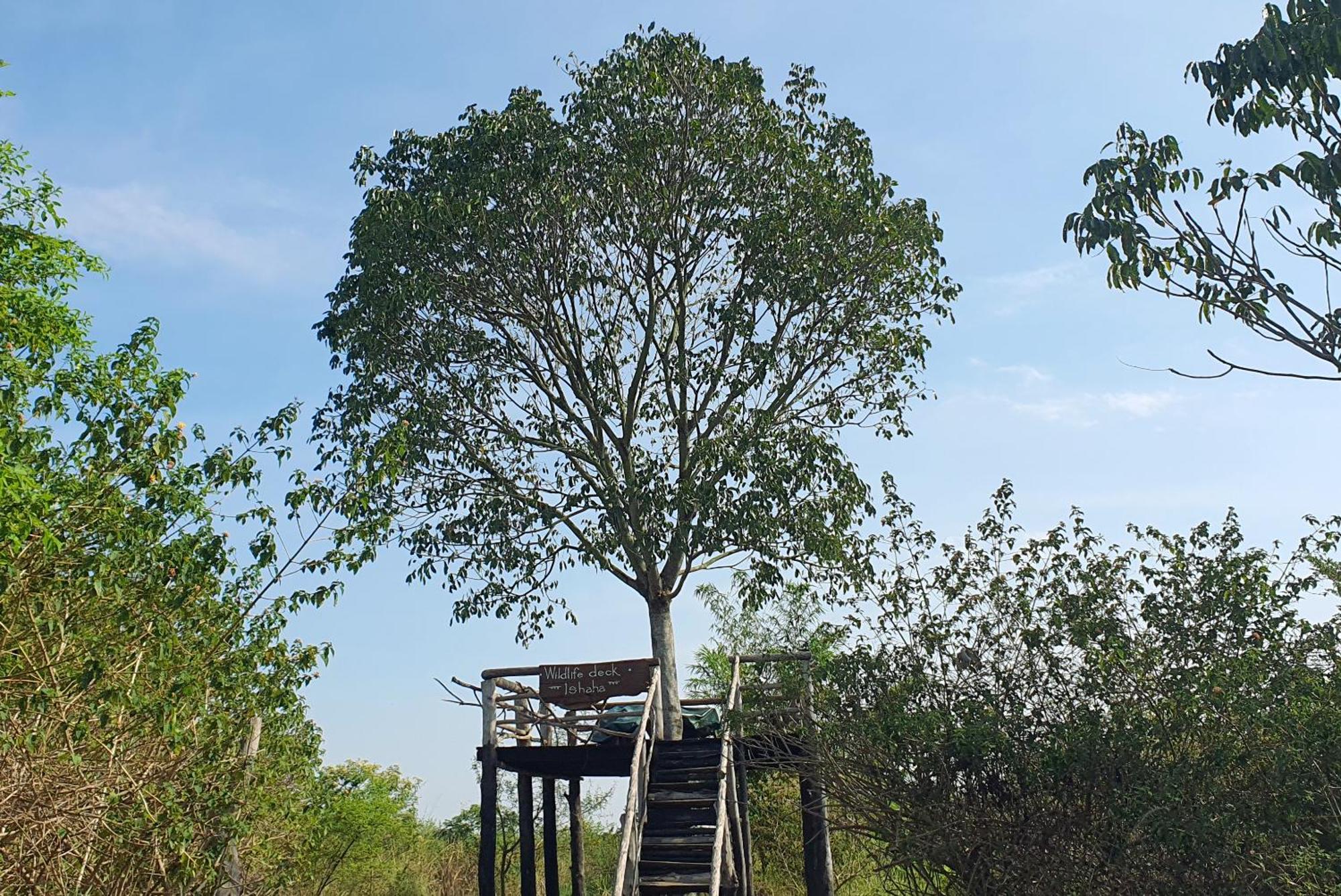 Topi Lodge Katunguru ภายนอก รูปภาพ